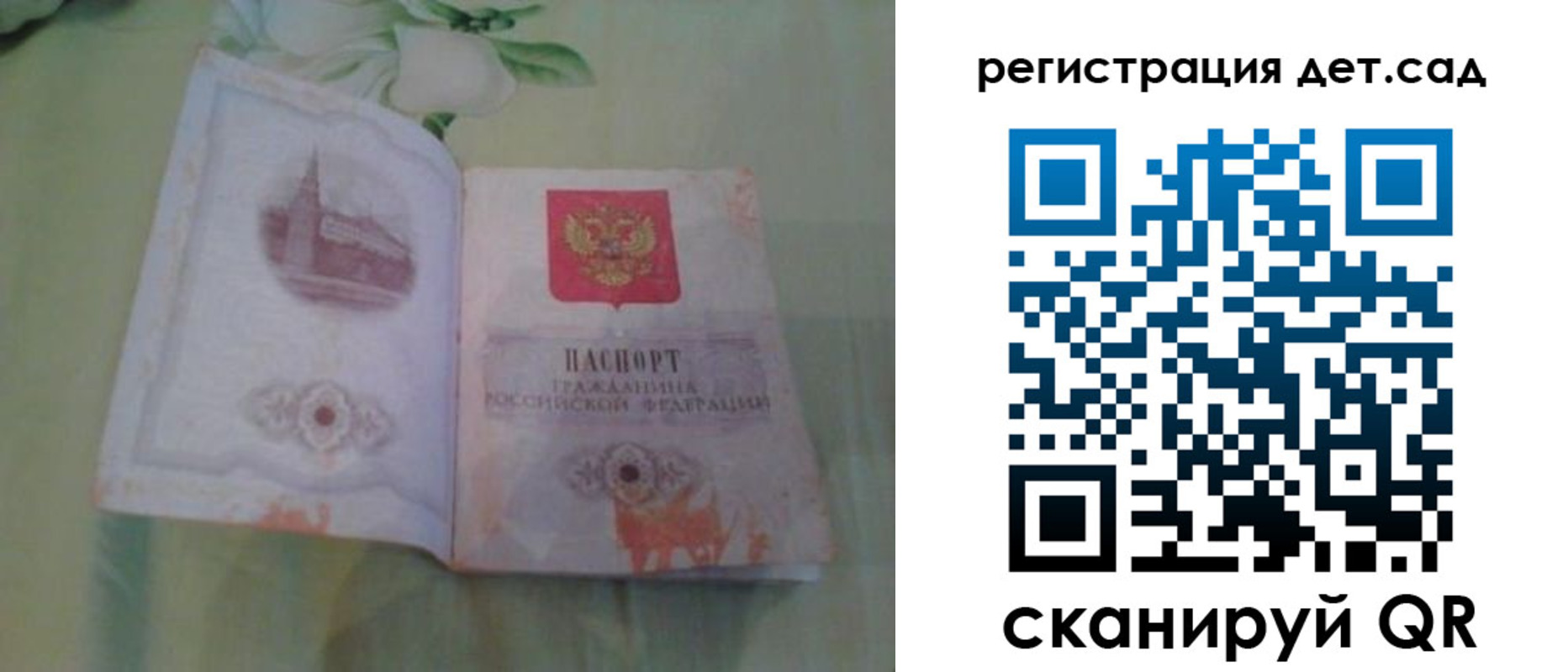 прописка гарантия в Щиграх
